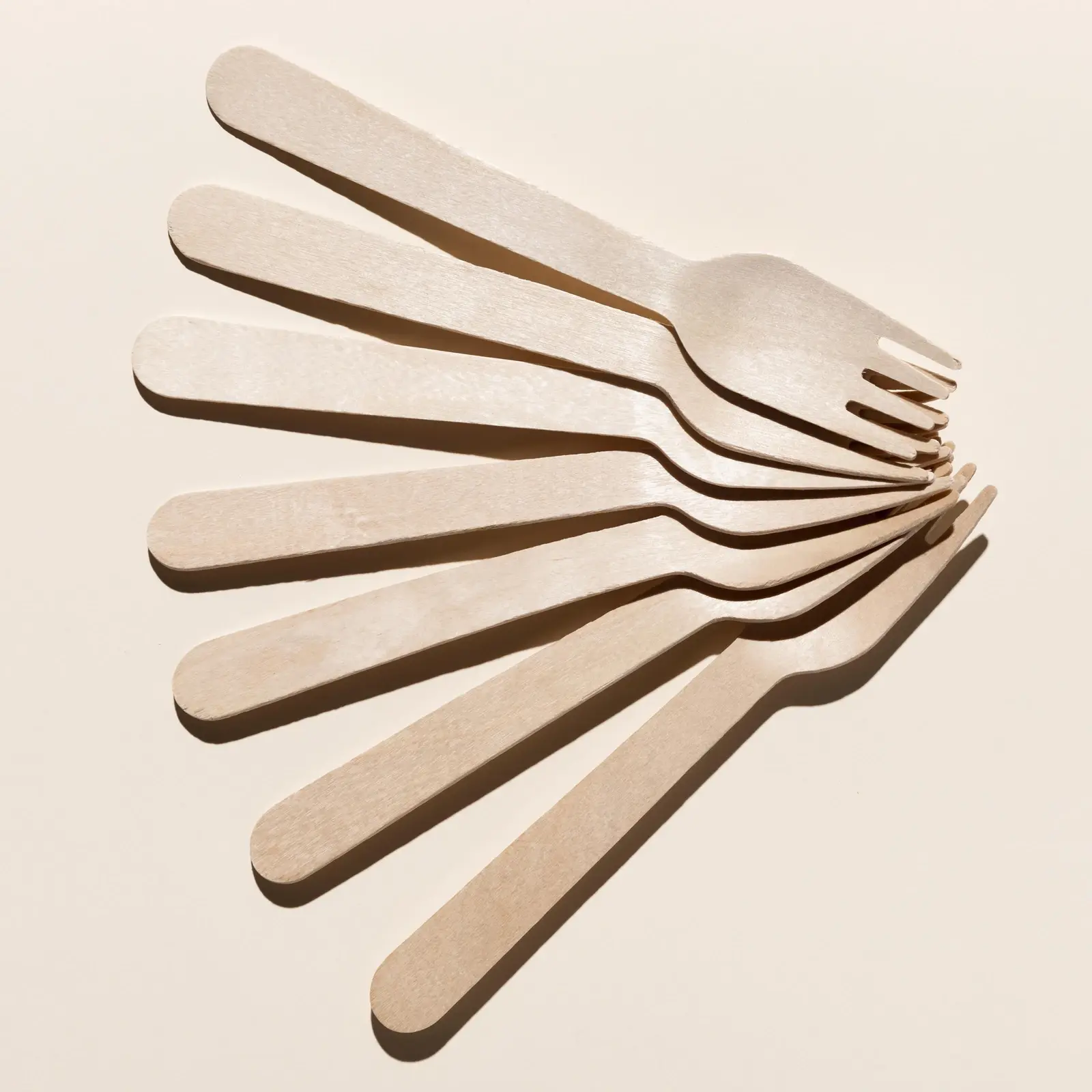 Bamboo & Wooden Cutlery