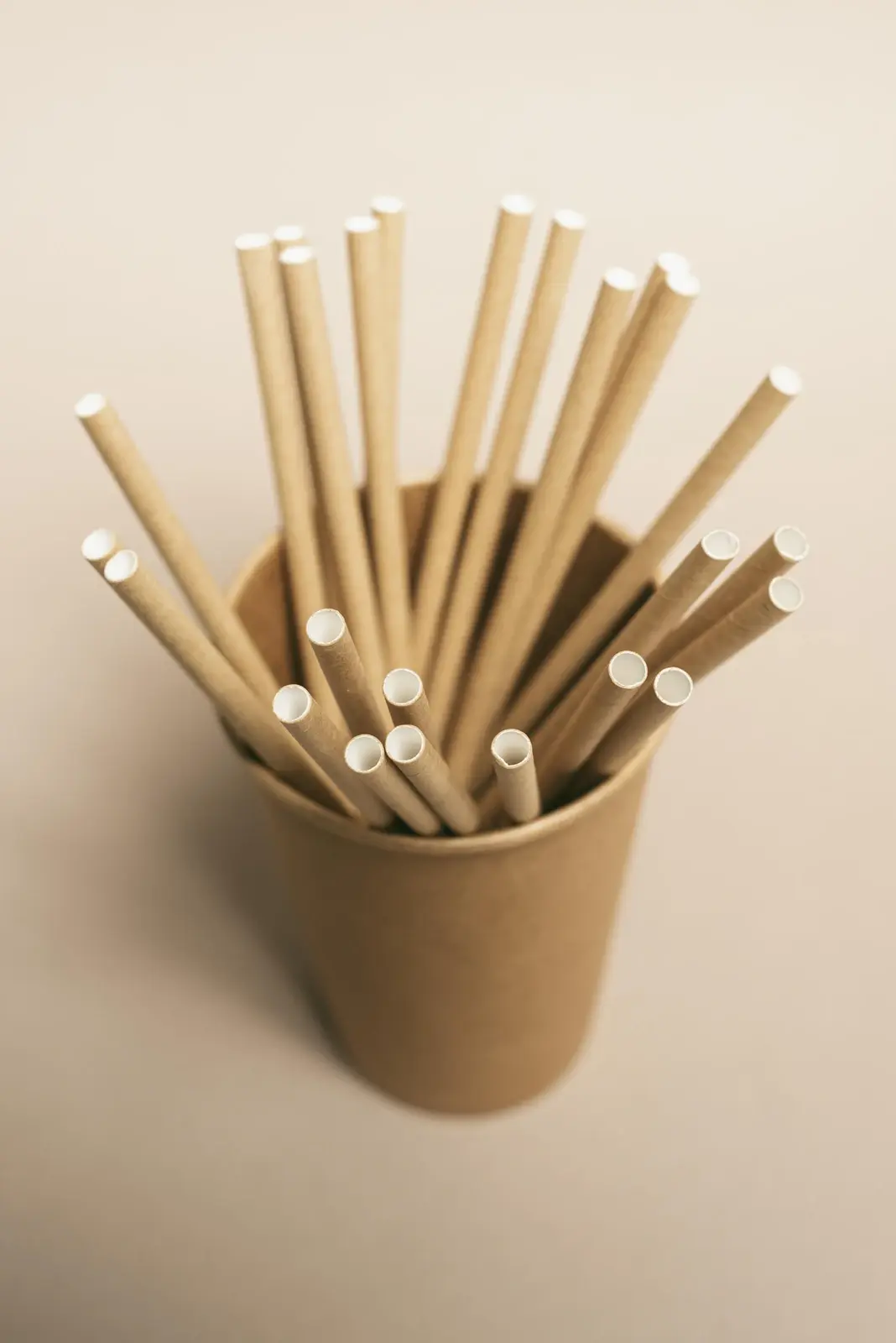 Bamboo & Wooden Cutlery