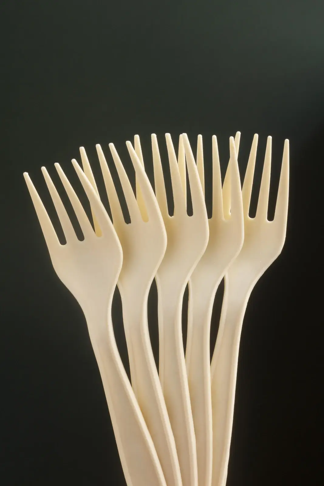 Bamboo & Wooden Cutlery
