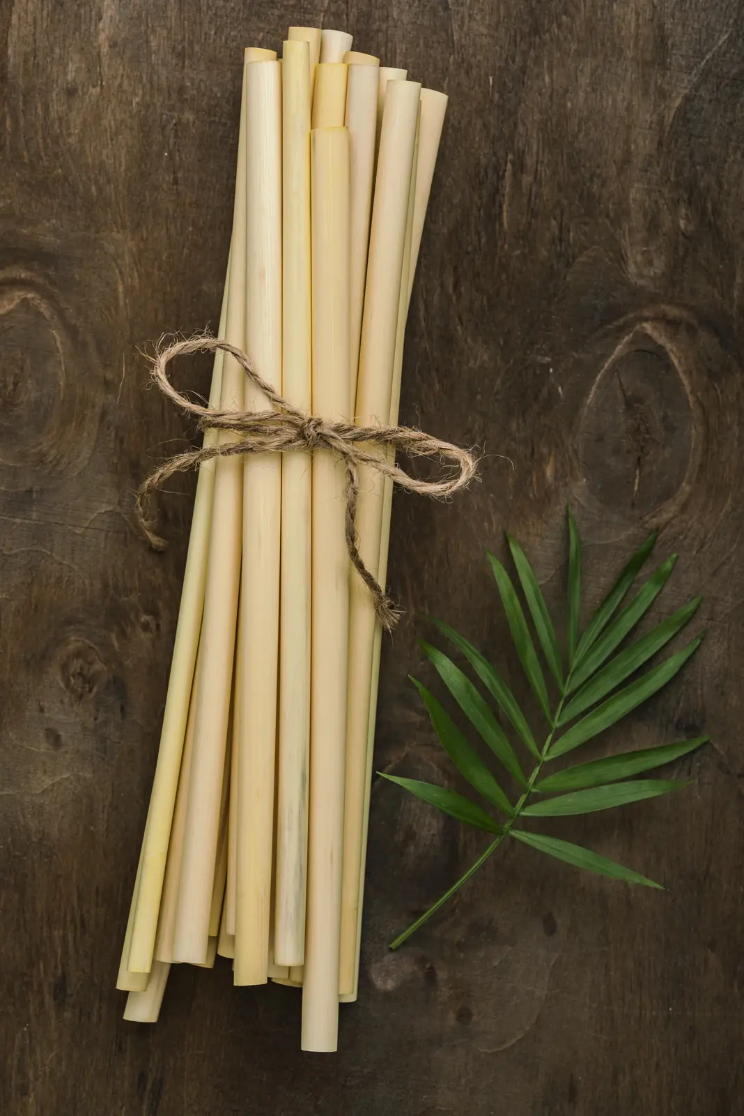 Bamboo & Wooden Cutlery