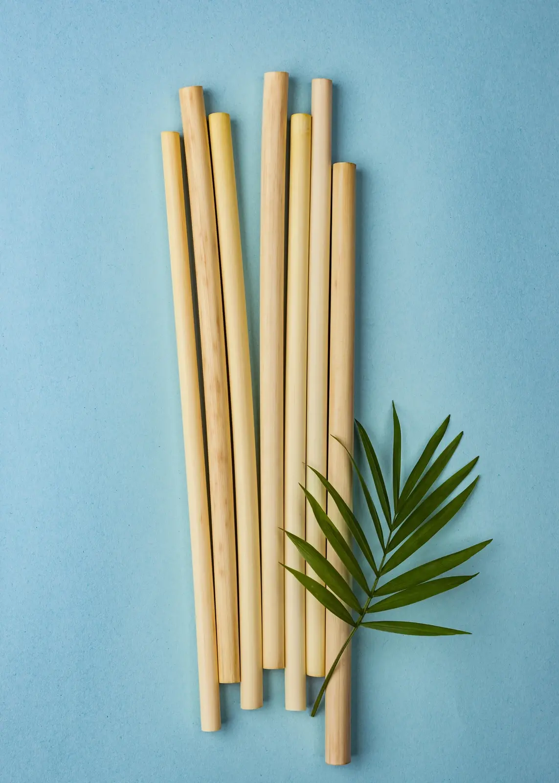 Bamboo & Wooden Cutlery