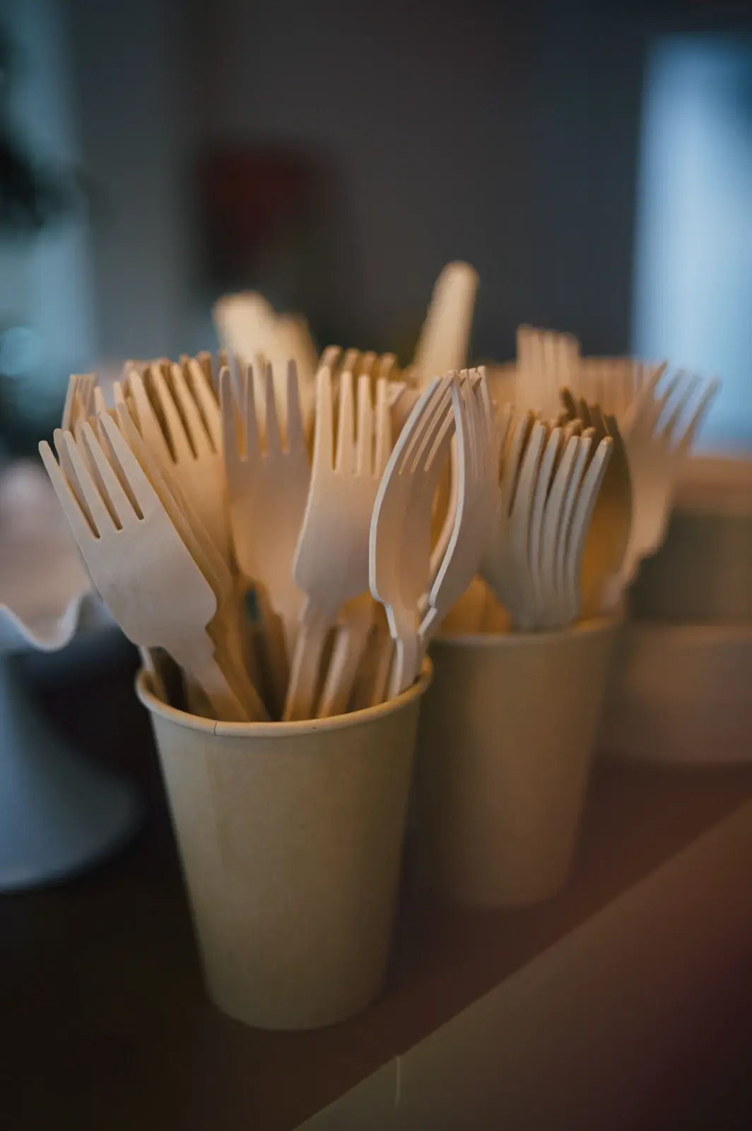 Bamboo & Wooden Cutlery