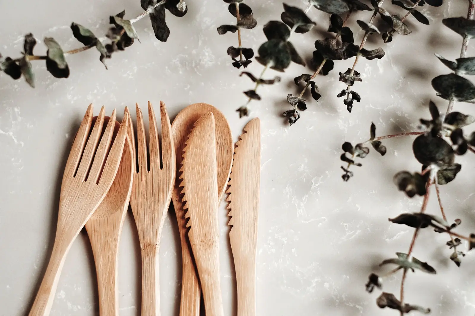Bamboo & Wooden Cutlery
