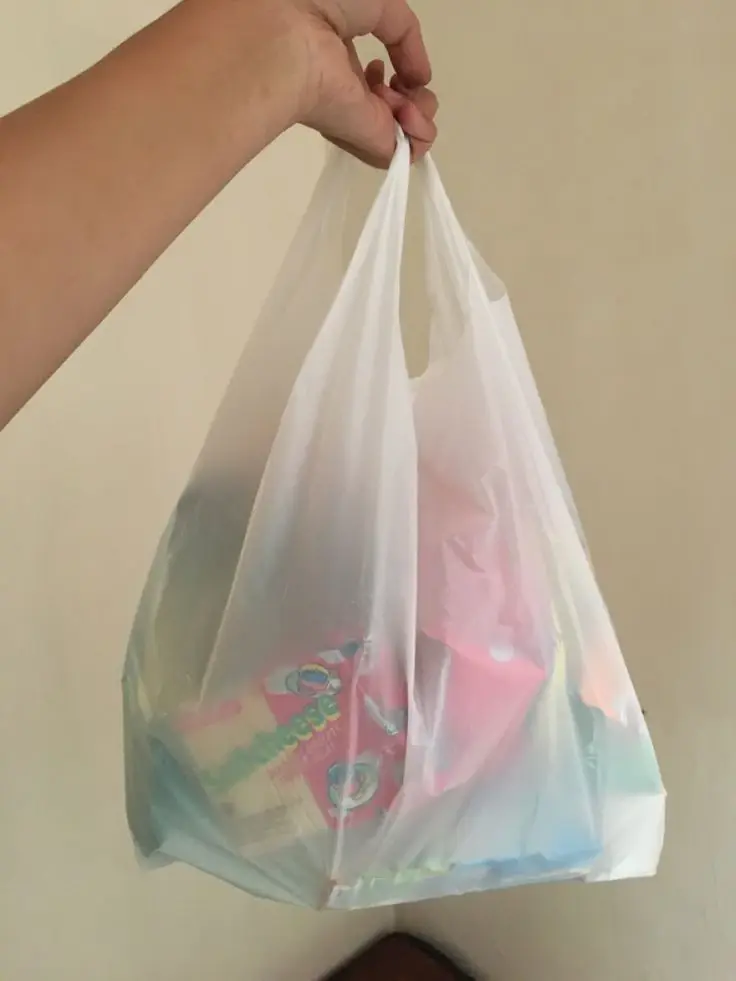 Compostable Carry Bags