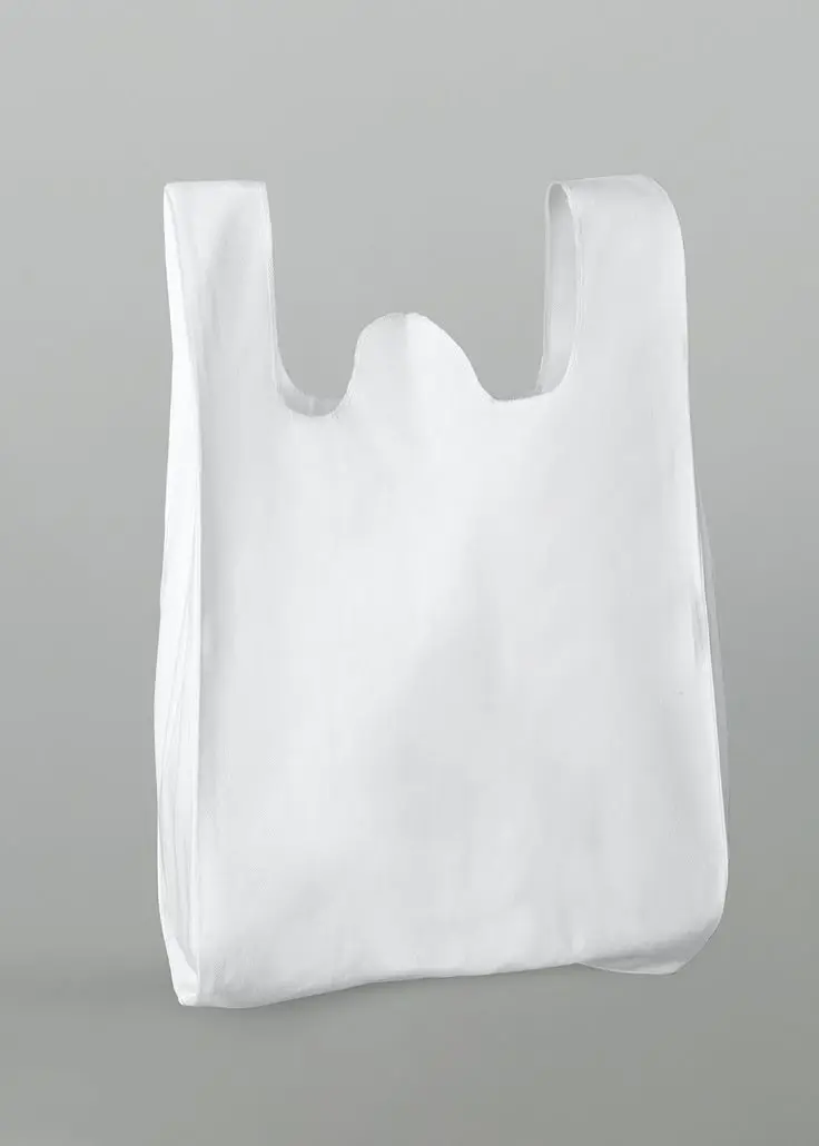 Compostable Carry Bags