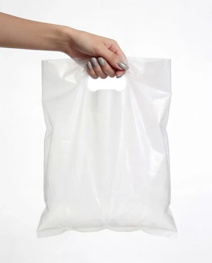 Compostable Carry Bags