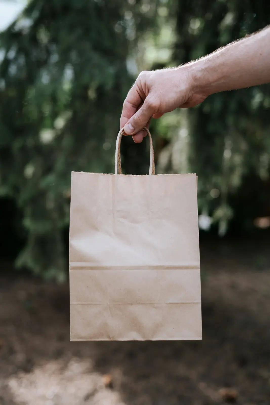 Paper Bags